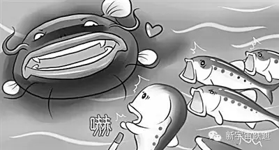 充電市場巨頭博弈：國網撤了 鯰魚來了 鯊魚也來了